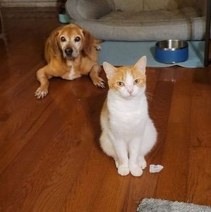 Meet your Posher, Paula